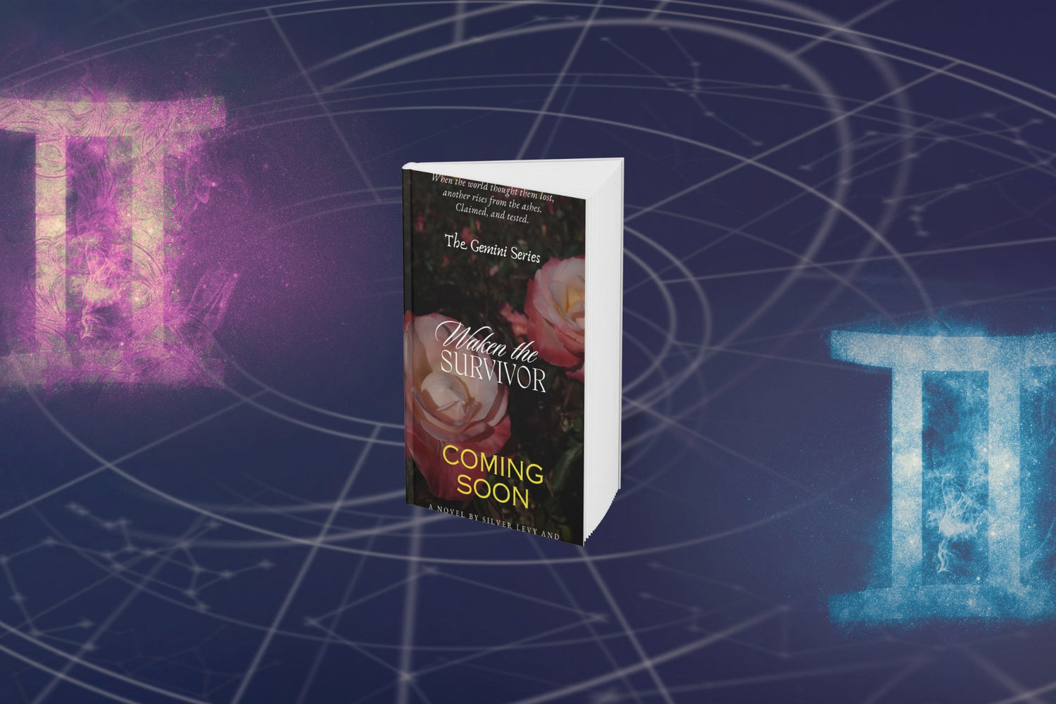 Gemini Series
